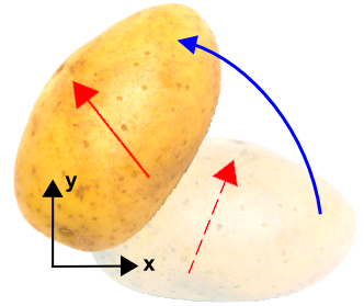 Rotated Potato